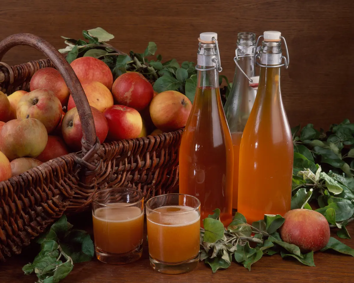 Homemade Cider: A Simple Guide