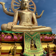 IMG-1446