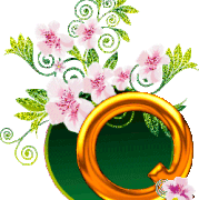 q