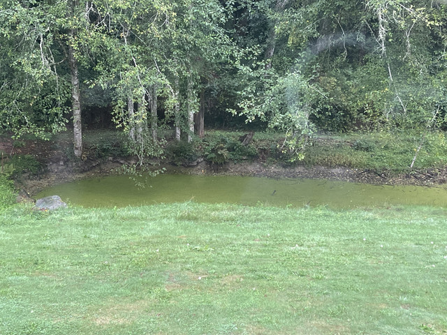 IMG-0051