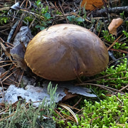 DSC05509