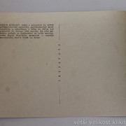 IMG-0330