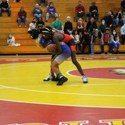 IMG-0435