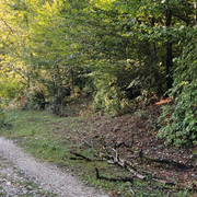 IMG-20240923-171233
