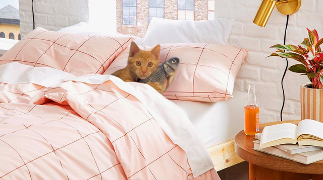bed-sheets-cat