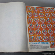 IMG-1704