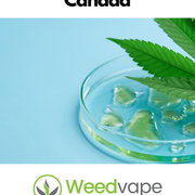 Main-Order-Weed-Canada-9