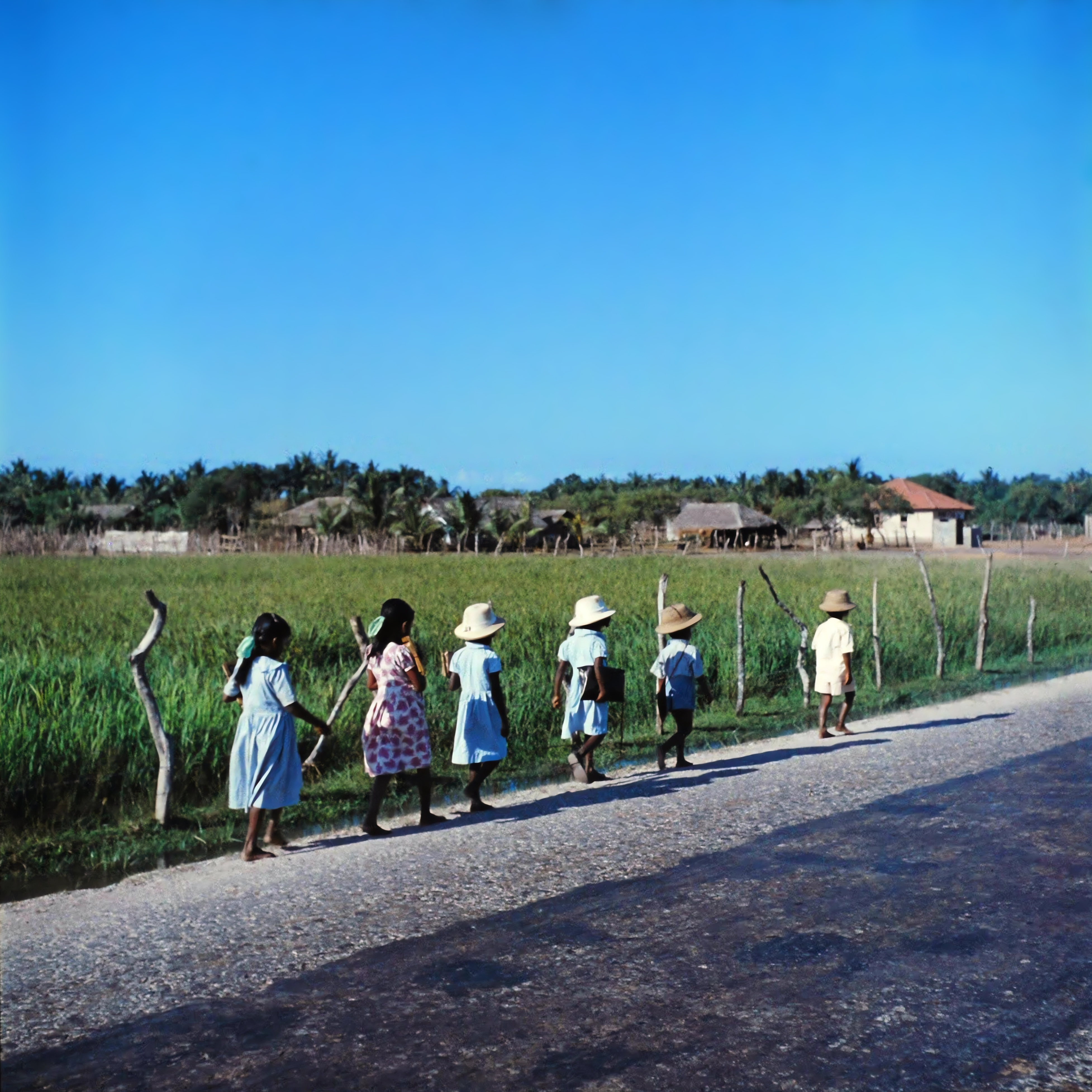 1958-school-edited.jpg