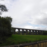 DSCF7617