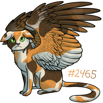 Pet Image