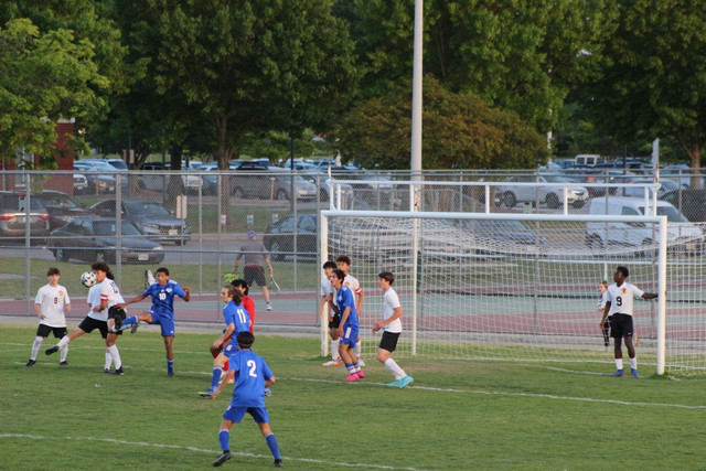 IMG-0041