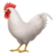 rooster-1f413