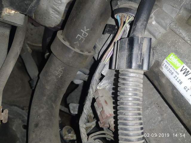 IMG-20190902-145402