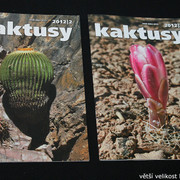 IMG-3288