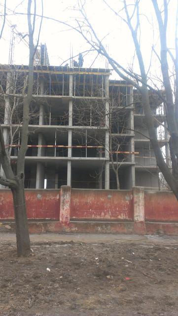 IMAG0087.jpg
