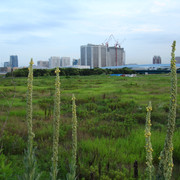 2010-07-01-033