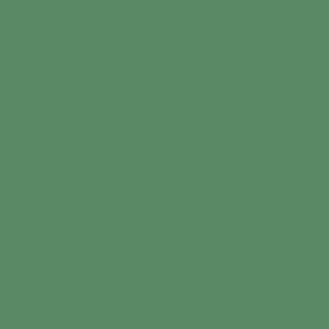 animation-1.gif