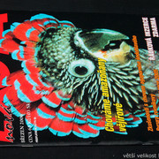 IMG-7800