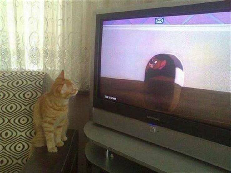daily-picdump-60-5.jpg