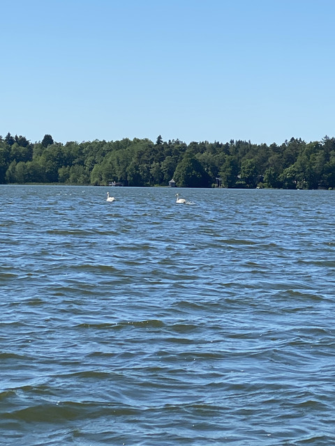 B37-A953-B-806-A-4-F28-A227-8-A62-EA9-FF