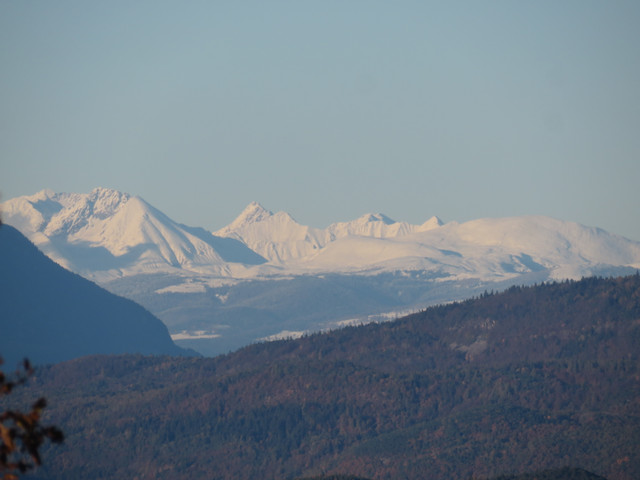 IMG-8020