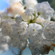 DSC-3288