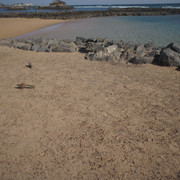 DSC01040