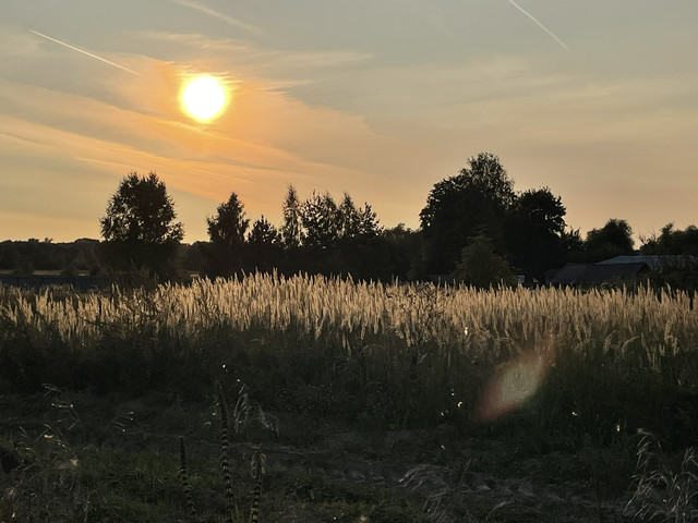 IMG-4060.jpg