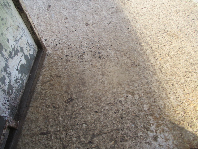 IMG-9021.jpg