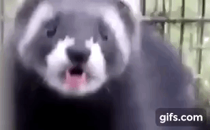 w0AgDw.gif