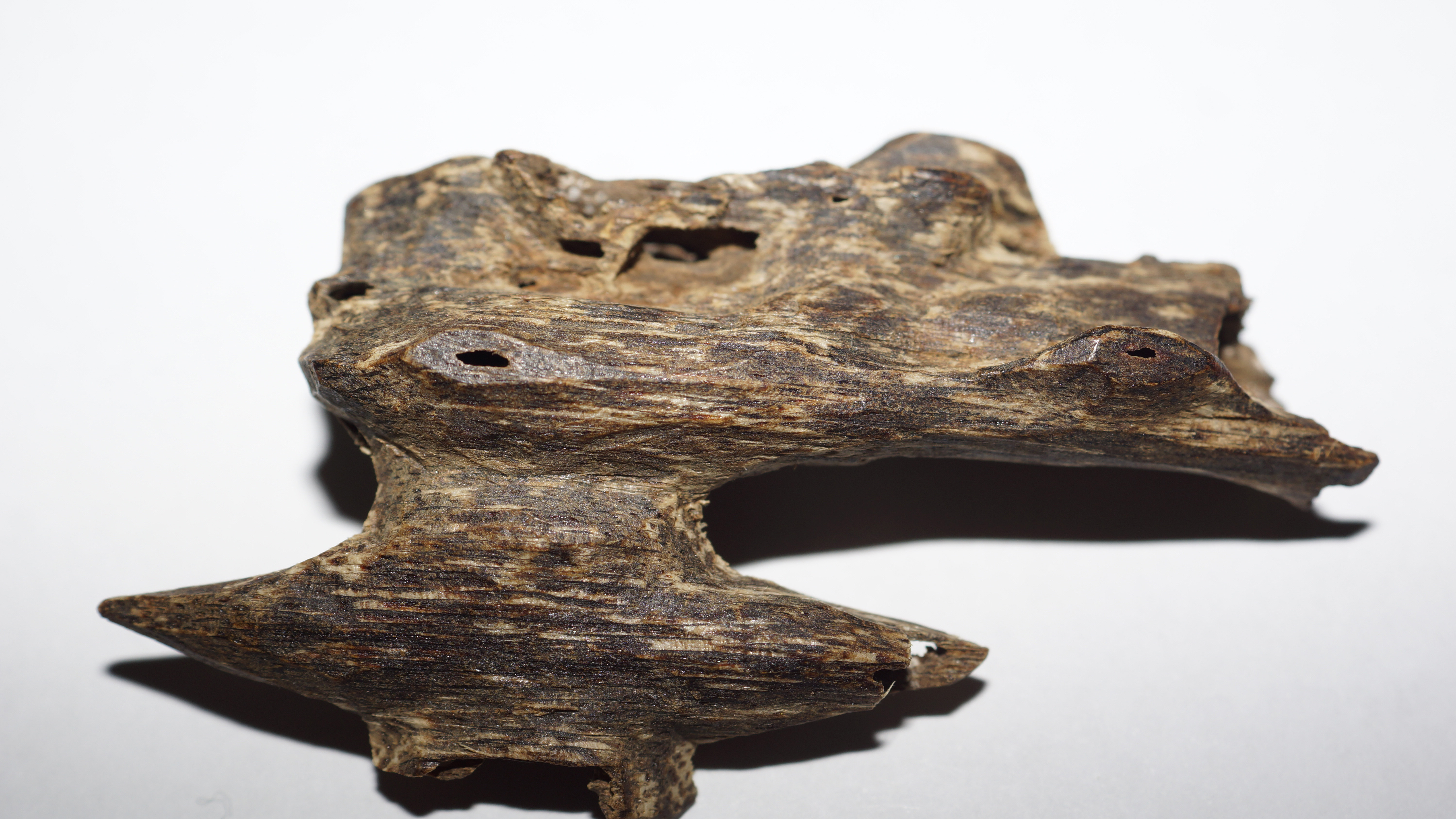 [Ouddict.com] Oud Wood