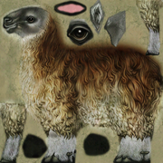 Llama_Adult_Dirty.dds