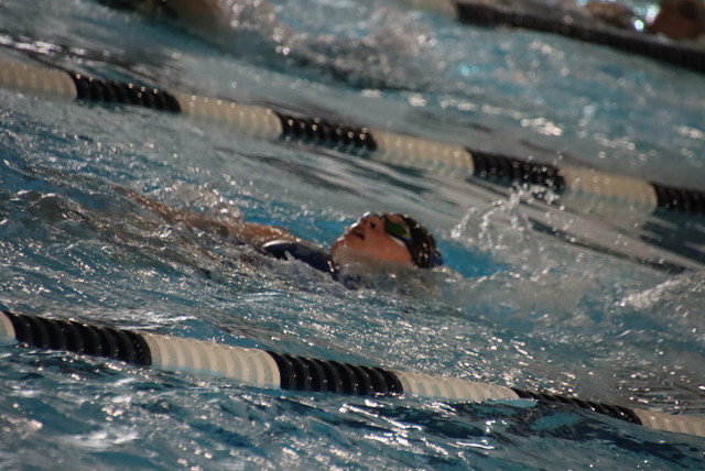IMG-0187