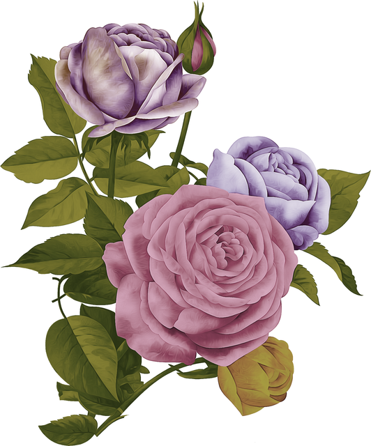 22 (1).png