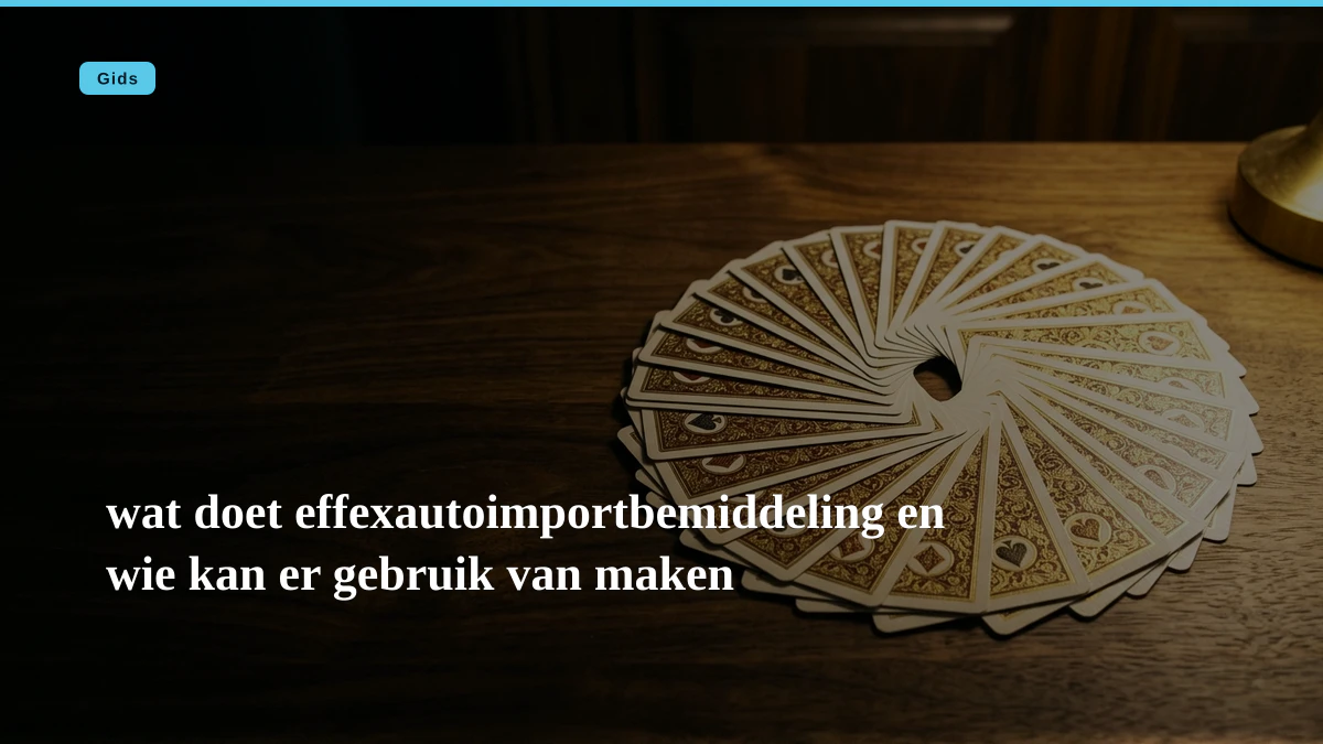 wat doet effexautoimportbemiddeling en wie kan er gebruik van maken