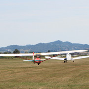 y-4306