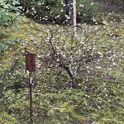 IMG-2802
