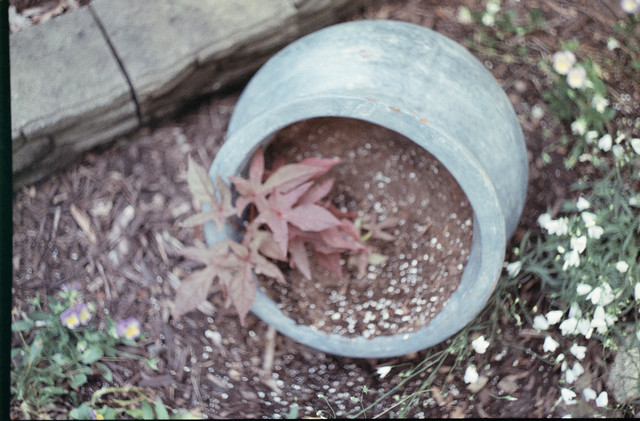 K1000 36 0.jpg