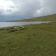 IMG 1116