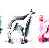 Dog-lineup
