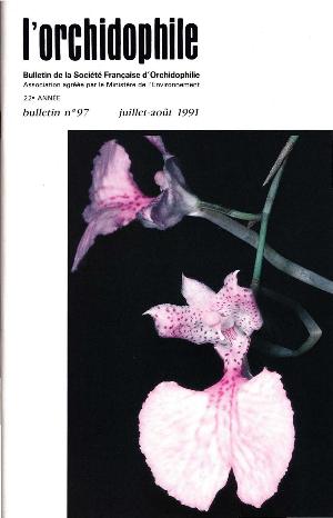 orchido97.jpg?042148