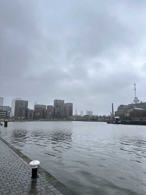 IMG-8904