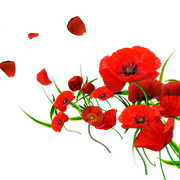 0-4d5db-83710b44-L