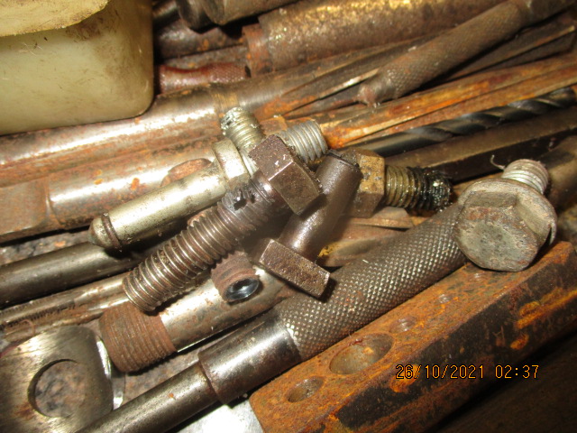 IMG-8911.jpg