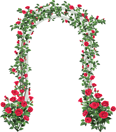 transparent.png