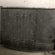 IMG-2567.jpg