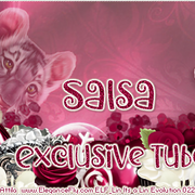 Salsa-Val22-Coupon-Exclusive-Tube