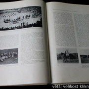 IMG-5544