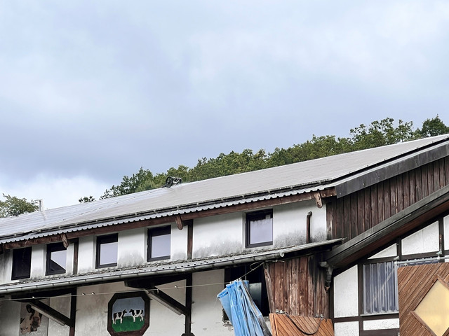 PV-Anlage auf dem Scheunendach des Ferienhof Pulte in Attendorn-Helden während der Reinigung – linke Dachhälfte bereits gereinigt, rechte Hälfte noch verschmutzt