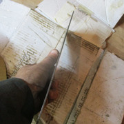 IMG-0337